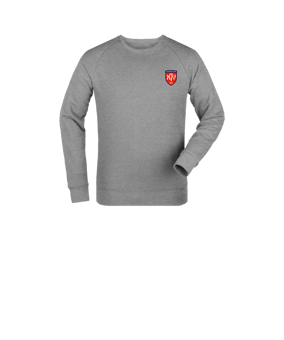 Merch Mini Changer 2.0 Sweatshirt Kids Heather Grey | #justlogo4c