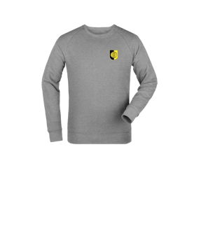 Merch Mini Changer 2.0 Sweatshirt Kids Heather Grey | #logo4c