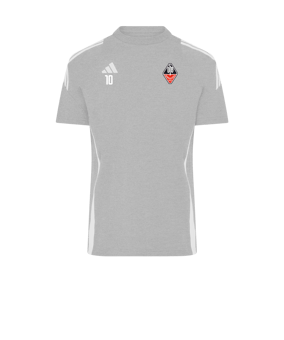 adidas Tiro 24 T-Shirt Grau Weiss