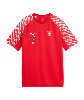 PUMA teamLIGA26 Trikot Kids Rot F01