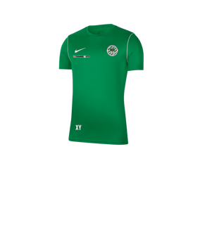 Nike Park 20 T-Shirt Kids Grün F302
