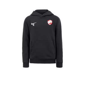 Sweat à capuche en polaire Nike Park 20 enfants Gris blanc F071