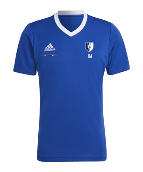 adidas Entrada 22 Trikot Blau Weiss