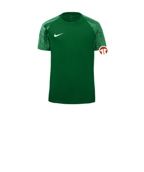 Nike Academy Trikot Kids Grün Weiss F302