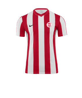 Nike Division V Striped Trikot Weiss F104