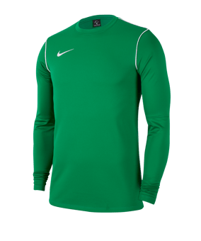 Nike Park 20 Training Sweatshirt Grün F302 - gruen