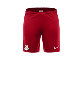 Nike Park III Pantalones cortos Rojo C657 