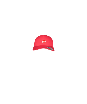 Merch 5 Panel Retro Trucker Cap Red | #logo4c
