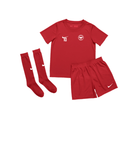 Nike Park 20 Kit Kids Rot F657