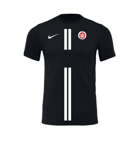 Nike Park VII Trikot kurzarm Schwarz F010