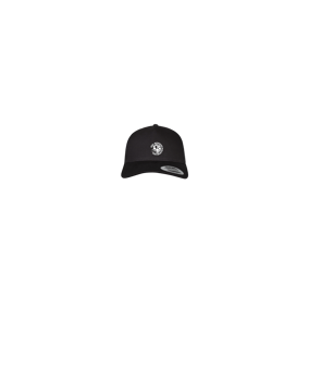 Merch 5 Panel Retro Trucker Cap Schwarz | logo1c
