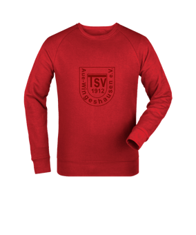 Merch Roller Sweatshirt Red | #toneintone