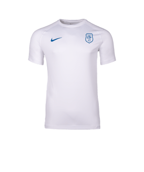 Nike Park VIII Trikot Weiß F104