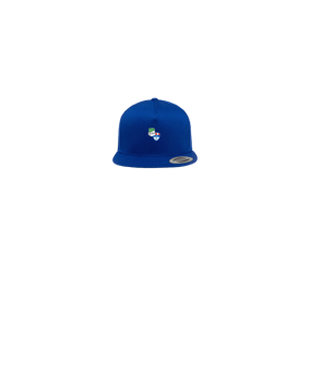 Merch 5 Panel Classic Snapback Cap Royal Green | logo4c