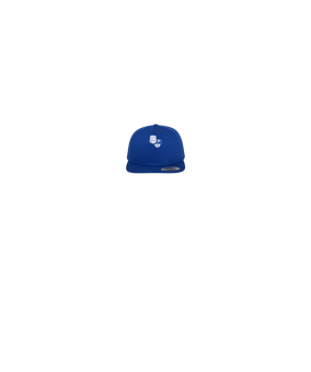 Merch 5 Panel Classic Snapback Cap Royal Green | logo4c
