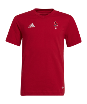 T-shirt enfants adidas Entrada 22 rouge 