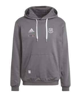 adidas Entrada 22 Hoody Grau