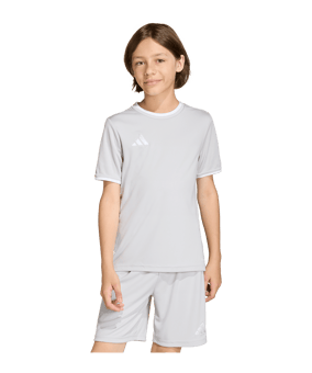 adidas Entrada 26 Trikot Kids Grau - grau