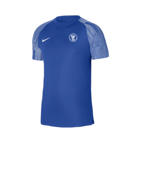 Nike Academy Trikot Blau Weiss F463