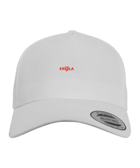 Merch 5 Panel Curved Cap Blau
