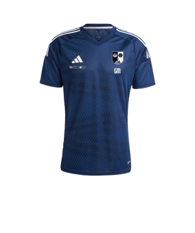 adidas Tiro 23 Competition Match Trikot Blau Weiss