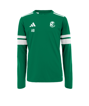 adidas Squadra 25 Trikot Langarm Grün