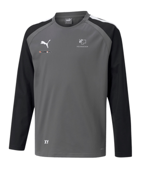 PUMA teamLIGA Sweatshirt Kids Grau F13