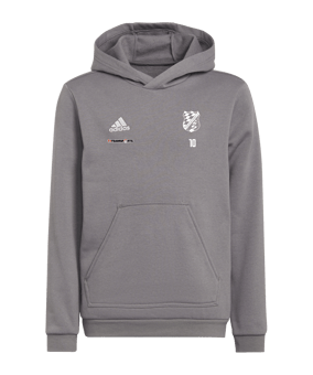 adidas Entrada 22 Hoody Kids Grau