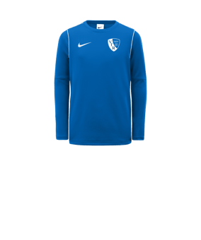 Nike Park 20 Sweatshirt Kids Blau Weiss F463