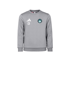 adidas Entrada 26 Sweatshirt Kids Grau