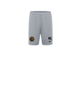 Nike Park III Short Kids Grau F012