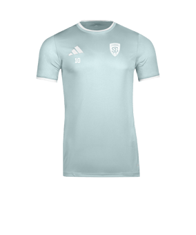 adidas Entrada 26 Trikot Türkis