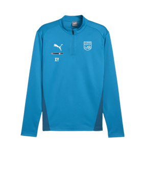 PUMA teamGOAL Training 1/4 Zip Sweatshirt Blau F02