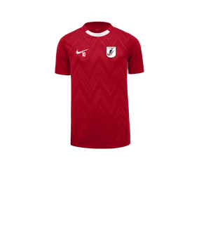 Maillot Nike Challenge V enfants rouge blanc F657 