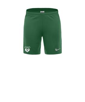 Nike Park III Pantalones cortos verde C302 