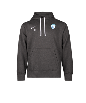 Nike Park 26 Sweatshirt à capuche Gris C071