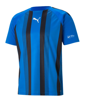 PUMA teamLIGA Striped Trikot Blau Schwarz F02