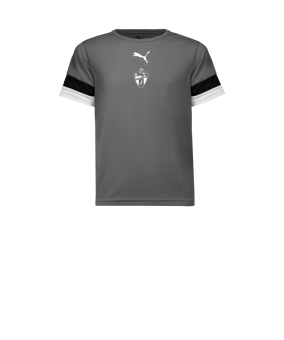 PUMA teamRISE Maillot Niños Gris F13 
