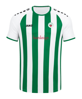 JAKO Inter Trikot Kids Weiss Grün F013