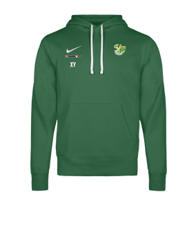 Nike Park 26 Hoody Grün F302