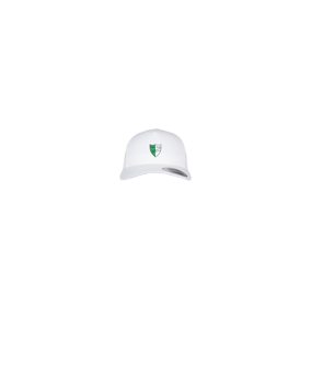 Merch 5 Panel Retro Trucker Cap | #logo4c