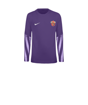 Nike Park V Trikot langarm Kids Lila F507
