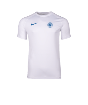 Nike Park VIII Trikot Weiß F104