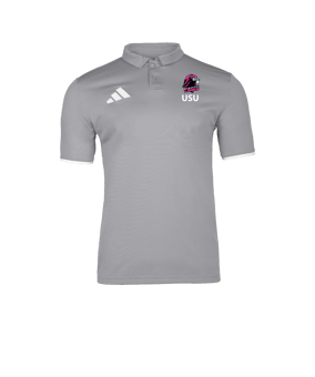 adidas Entrada 26 Polo Grau