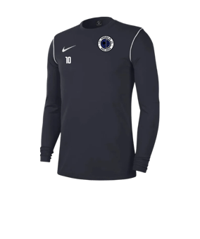 Nike Park 20 Sweatshirt Blau Weiss F451