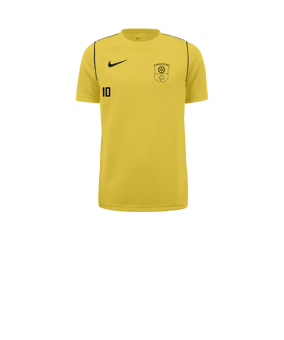 Nike Park 20 T-Shirt Kids Gelb F719