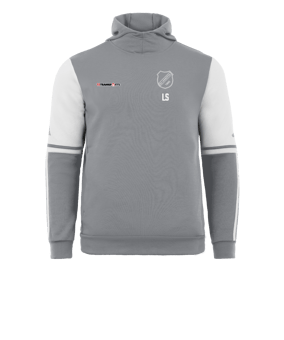 adidas Squadra 25 Hoody Grau