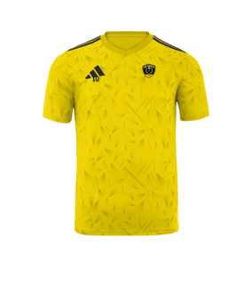 Maillot adidas équipe Icon 25 jaune 