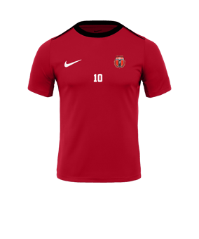 Nike Academy Pro 24 Trainingsshirt Rot  F657