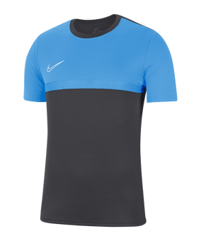 Nike Academy Pro Shirt kurzarm Kids F067 - grau